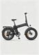 Bicicleta eléctrica EP-2 3.0 Boost