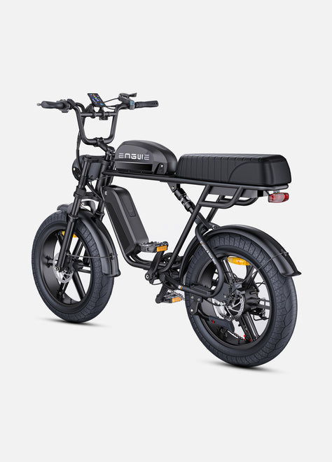 M1 Motorcycle-styled Electric Bike