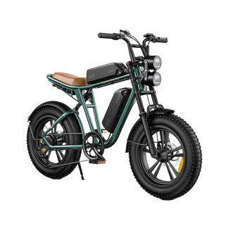Bicicleta eléctrica estilo motocicleta M20